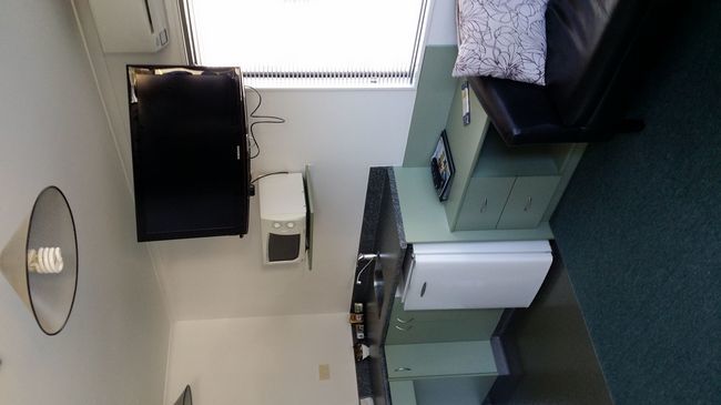 ניו פלימות' Asure Abode On Courtenay Motor Inn חדר תמונה